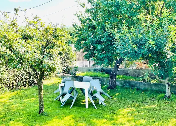 Sofi's Каламата