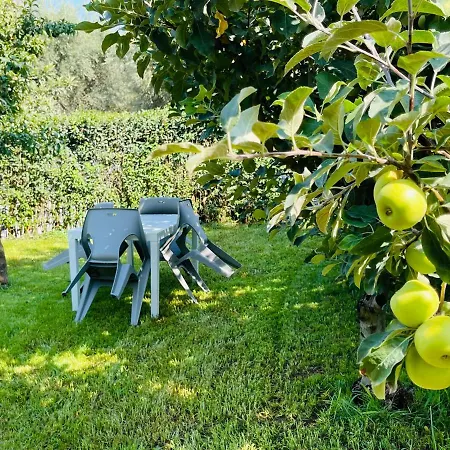 Daire Sofi's Kalamata